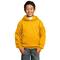 Port & Company® Colors Youth Core Fleece Pullover Hooded Sweatshirt